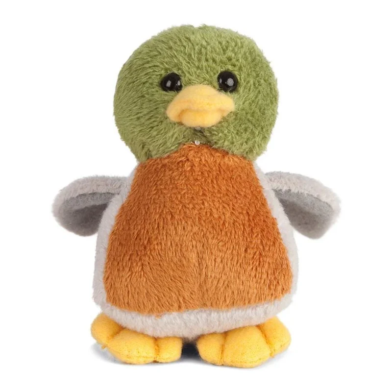 letoucanreveur-120189