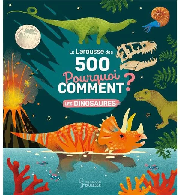 letoucanreveur-133993