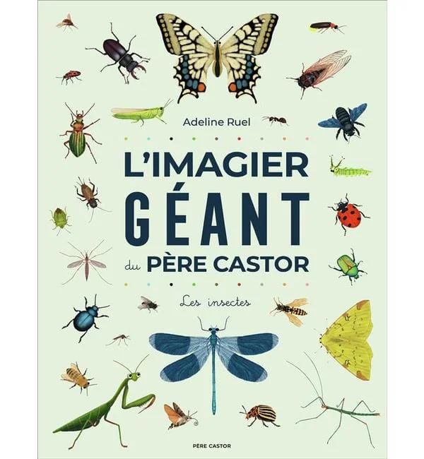 letoucanreveur-135226
