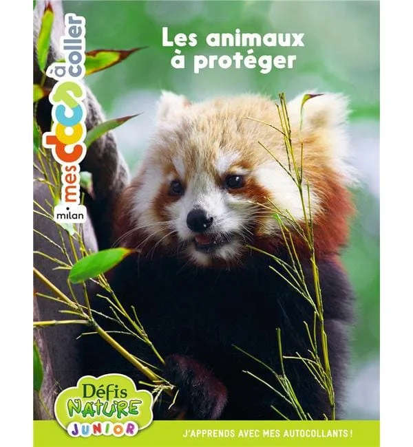 letoucanreveur-152013