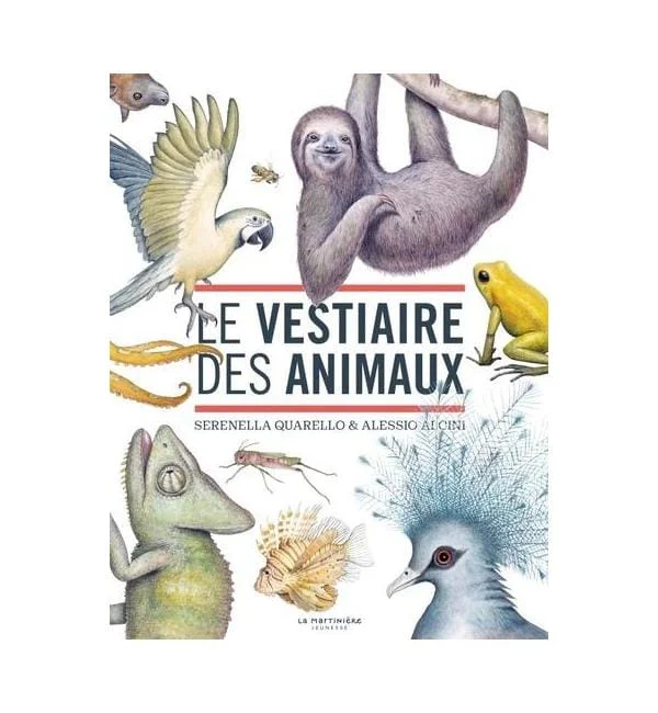 letoucanreveur-184953