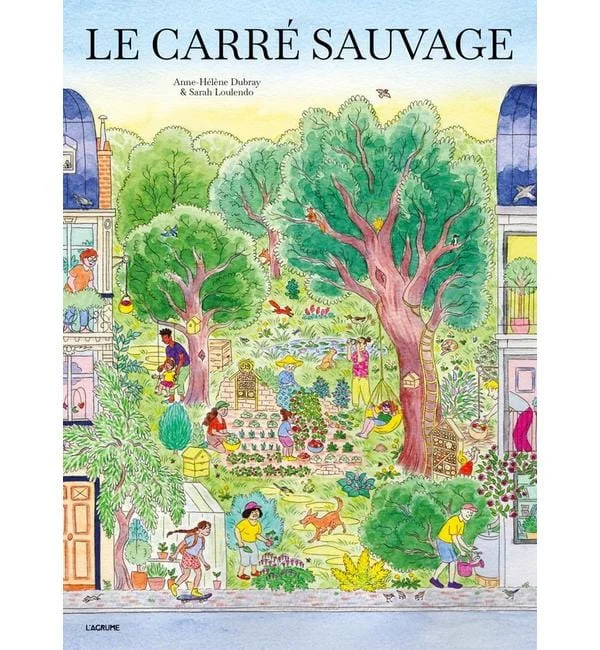 letoucanreveur-229682