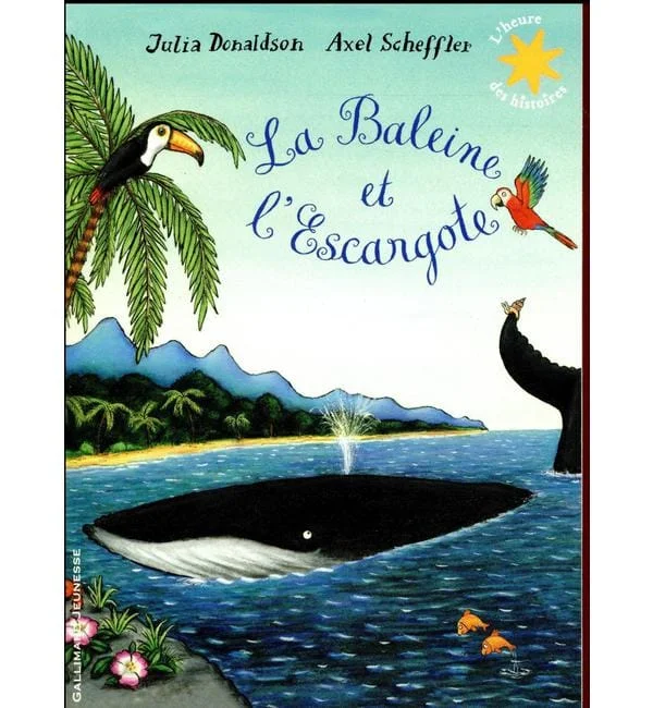 letoucanreveur-44255