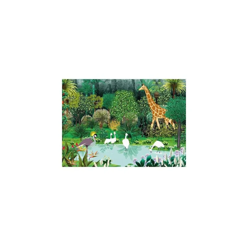 letoucanreveur-63293