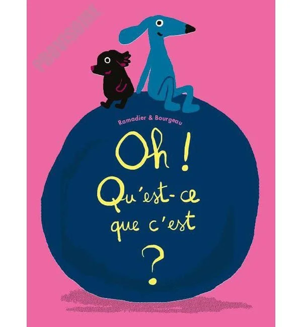 letoucanreveur-89008