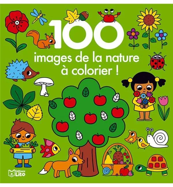 letoucanreveur-92086