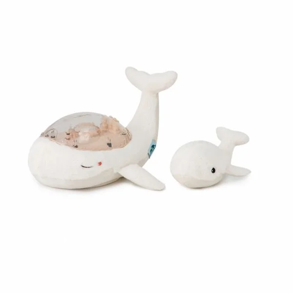 madeinbebe-1885149